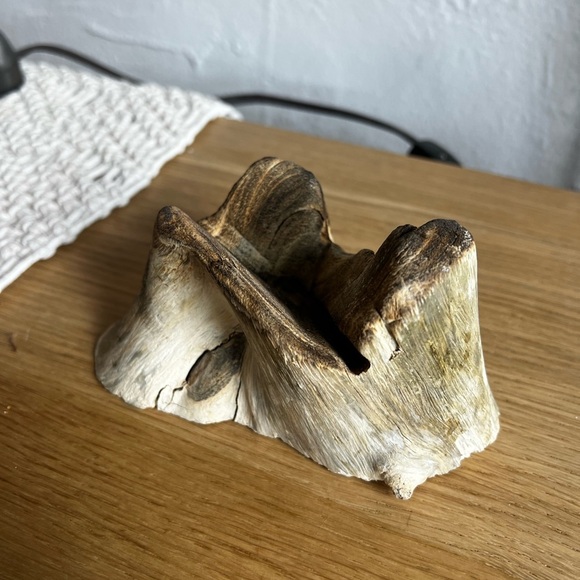 Molten Glass on Driftwood Sculpture โ Coastal Vase or Shell Display, Ocean Decor - Picture 4 of 7